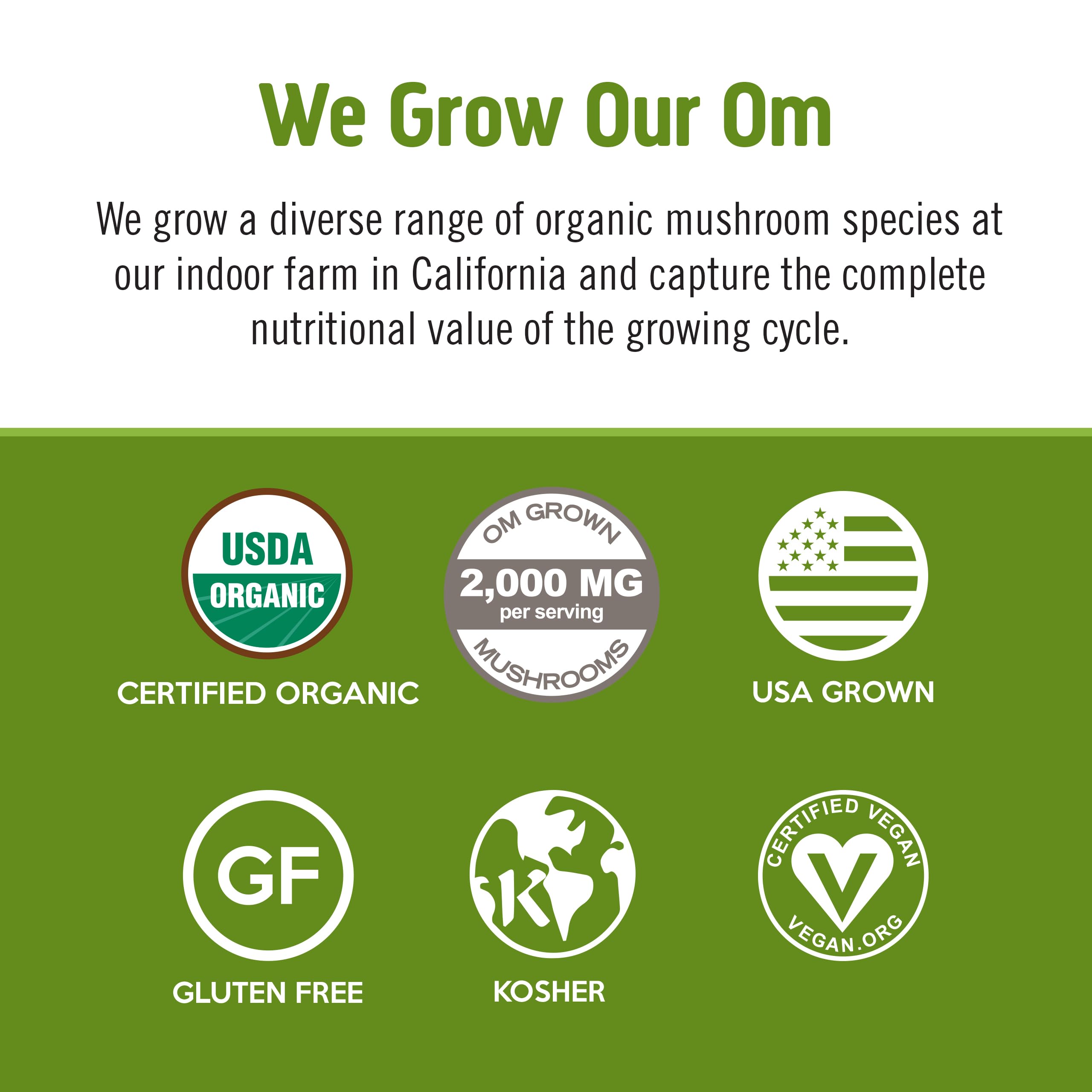 OM MUSHROOM SUPERFOOD Matcha Latte Blend – Green Tea Mushroom Powder with Lion’s Mane, Reishi, Chaga & Turkey Tail – Focus, Calm & Stress Support – 8.47 oz Canister (30 Servings)