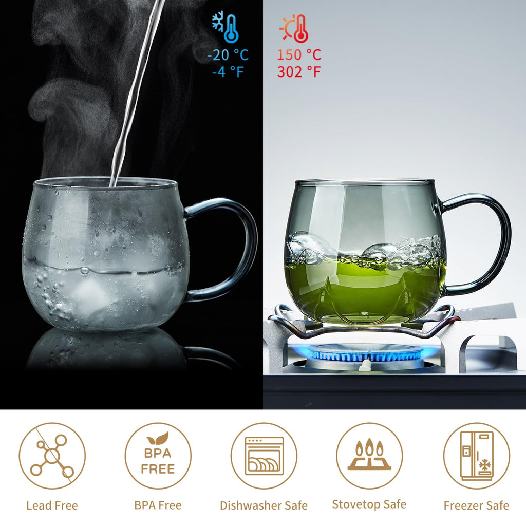 17 OZ Glass Tea Cup with Infuser and Lid, 500 ML Large Borosilicate Teacup, Clear Mug for Loose Leaf Tea, Blooming Tea, Tea Bags - Perfect Christmas or Birthday Gift for Women