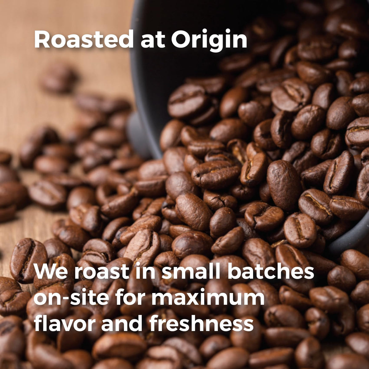 Don Memo Medium Roast Whole Bean Coffee 12 oz – Single-Origin Honduran Arabica Beans, Small Batch, Smooth & Balanced