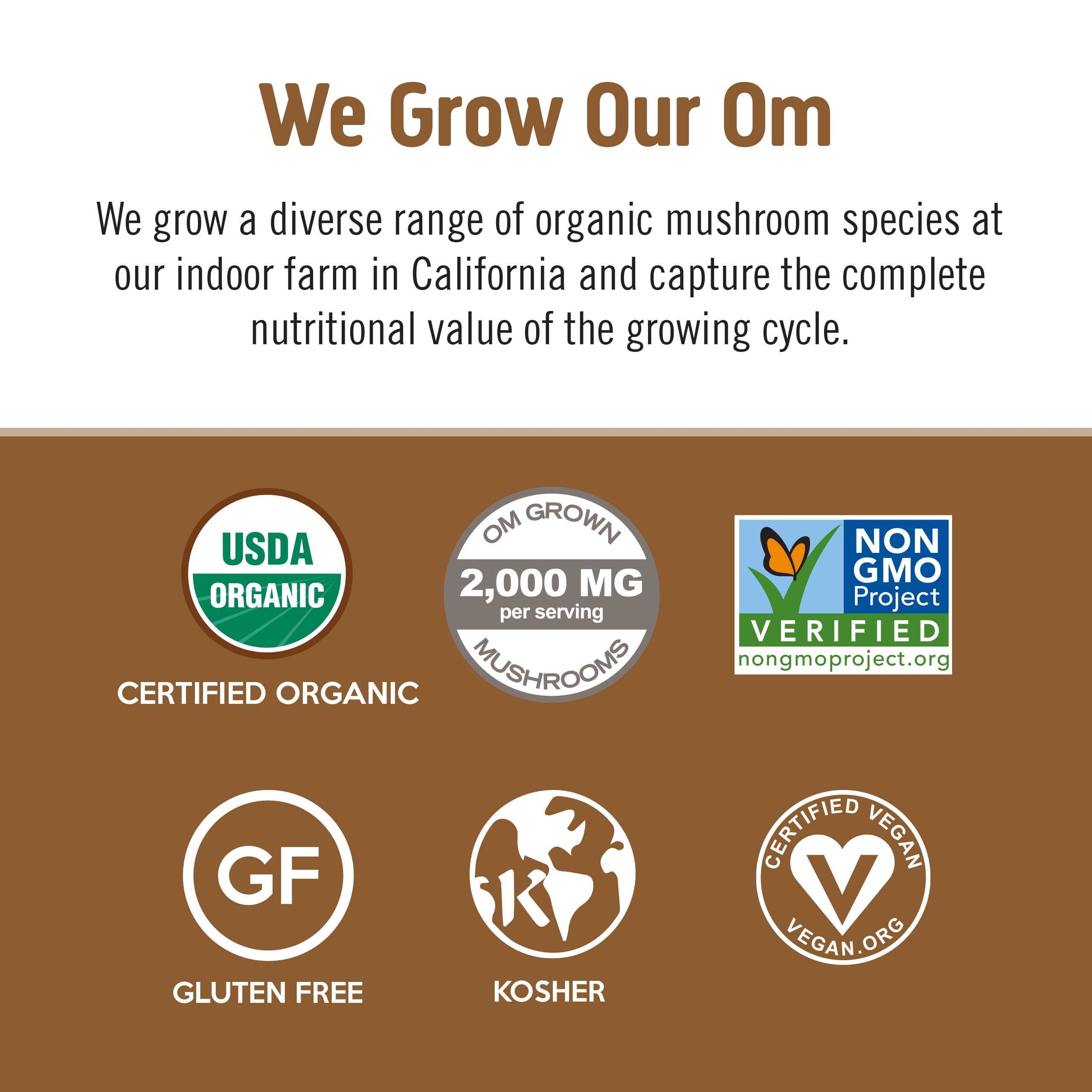 OM MUSHROOM SUPERFOOD Coffee Latte Blend – Functional Mushroom Powder with Lion’s Mane & Cordyceps – Energy, Focus & Mental Clarity Support – 8.47 oz Canister (30 Servings)
