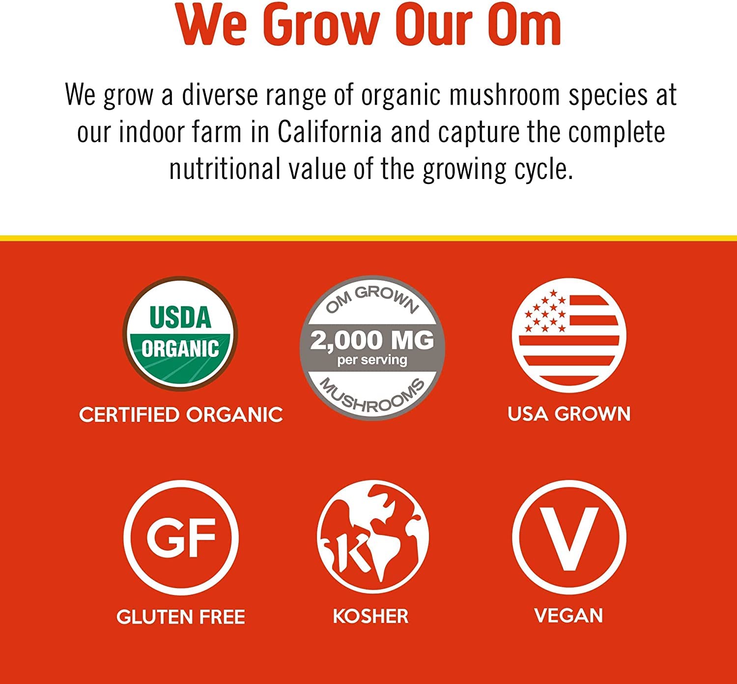 OM MUSHROOM SUPERFOOD Morning Energy Blend – Caffeine-Free Powder with Cordyceps, Lion’s Mane, Rhodiola & Vitamin D2 – Supports Energy, Focus & Endurance – 8.47 oz Canister (30 Servings)