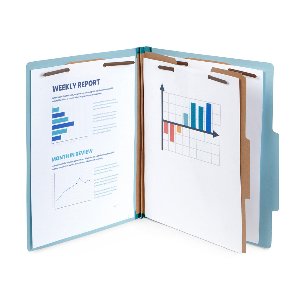 Blue Summit Supplies 10 Classification Folders, 1 Divider, Light Blue