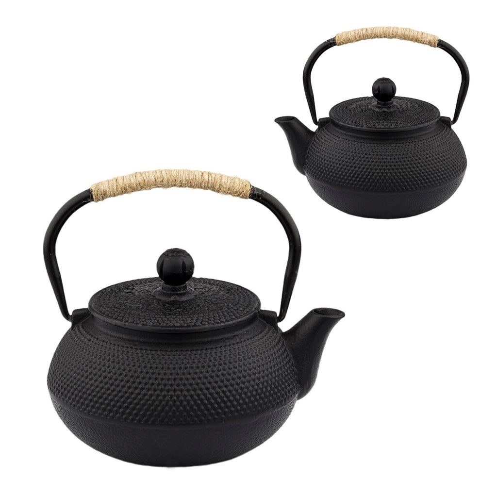 20.3oz Only, Small Tea Kettle for 1-2 Cups, Japanese Tetsubin, Cast Iron Teapot with Stainless Steel Infuser for Loose Leaf & Coffee, Tea Pot for Stovetop Safe, Enamel Interior(Black, 600ml)