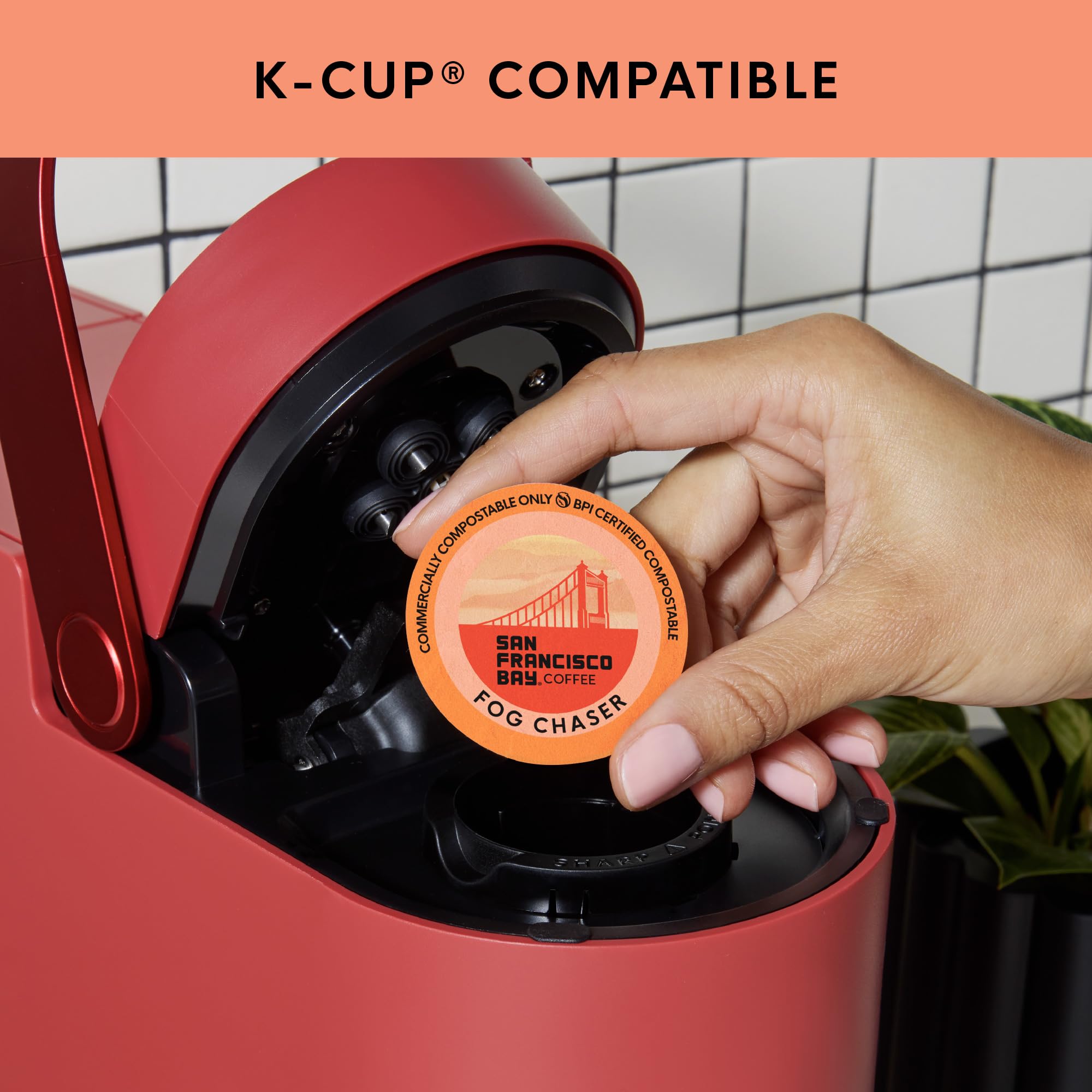San Francisco Bay Fog Chaser K-Cup Compatible Coffee Pods, 80 ct