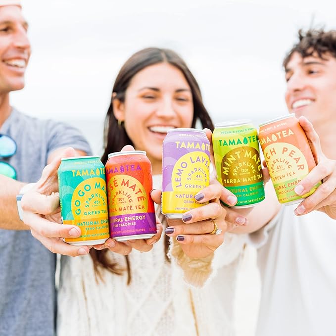 Sparkling Mint Yerba Mate by Tama Tea - Unsweetened Natural Energy Drink with Real Fruit & Herbs - Healthy Caffeine Drink Alternative - 120mg of Brain-Boosting Caffeine, 10 Calories - 12oz Pack of 12