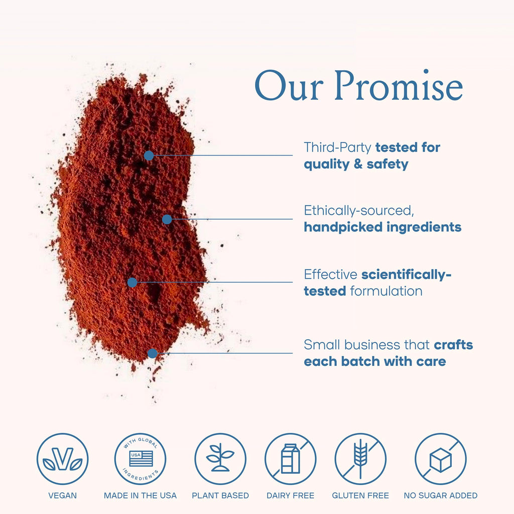 Mushroom Coffee, 20 Cups of Focus, Productivity & Clean Energy, Instant Mushroom Coffee with Lions Mane, Cordyceps and L-Theanine