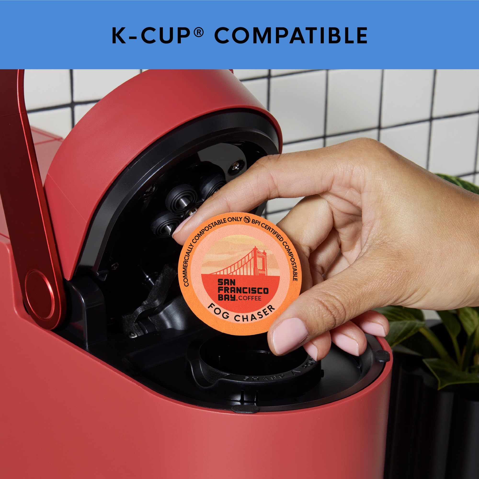 San Francisco Bay Variety Pack Original K-Cup Compatible Pods, 120 ct