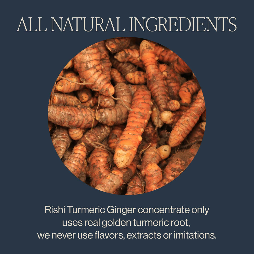 Rishi Tea Turmeric Ginger Chai Latte, Organic Tea Concentrate, 96 Fl Oz