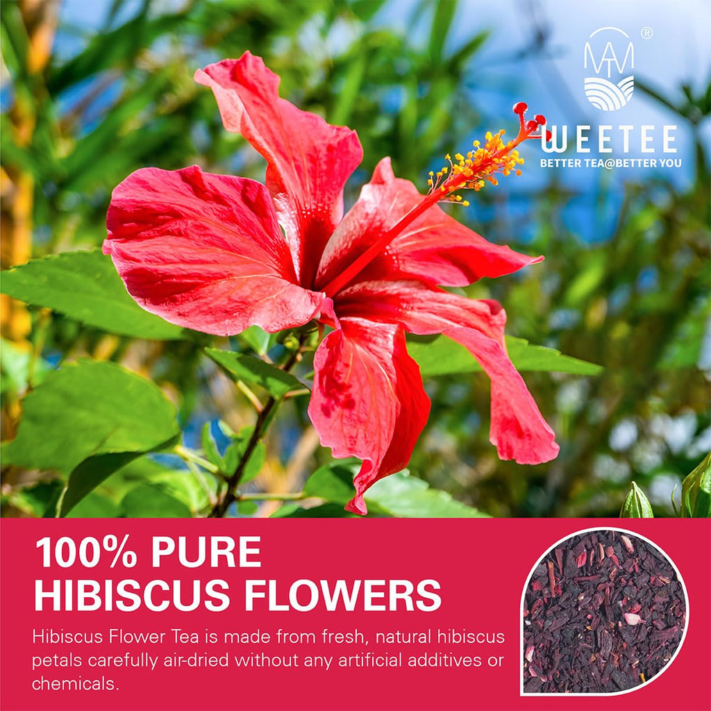 WT WEETEE Hibiscus Tea Bags 100ct, Cold Brew Friendly Pure Hibiscus Flowers