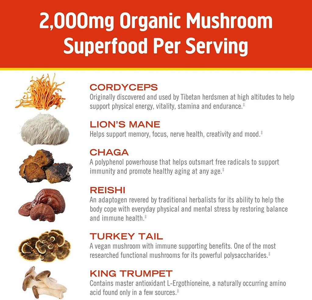 OM MUSHROOM SUPERFOOD Morning Energy Blend – Caffeine-Free Powder with Cordyceps, Lion’s Mane, Rhodiola & Vitamin D2 – Supports Energy, Focus & Endurance – 8.47 oz Canister (30 Servings)