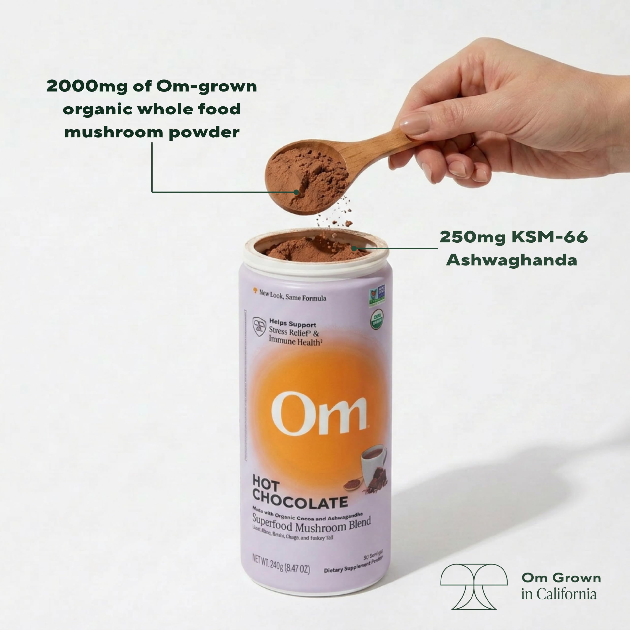 OM MUSHROOM SUPERFOOD Hot Chocolate Blend – Dutch Cocoa with Lion’s Mane, Reishi, Chaga & Turkey Tail – Supports Focus, Calm & Stress Relief – 2g Sugar, 25 Calories – 8.47 oz Canister (30 Servings)