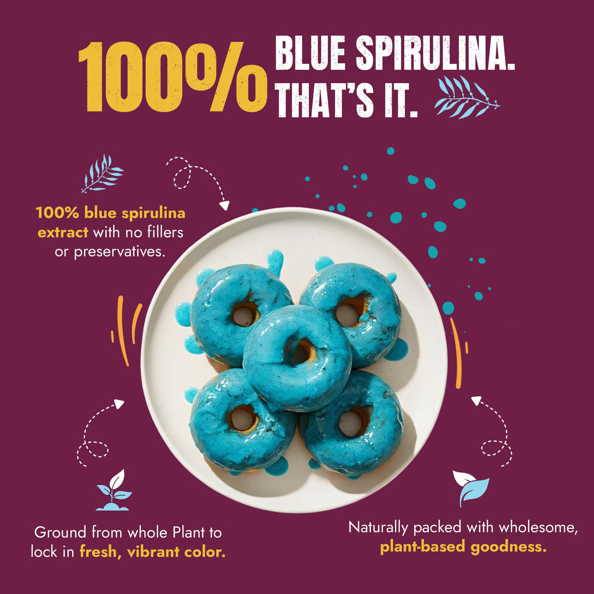 Suncore Foods Organic Blue Spirulina Powder 2 oz | Gluten Free | Vegan