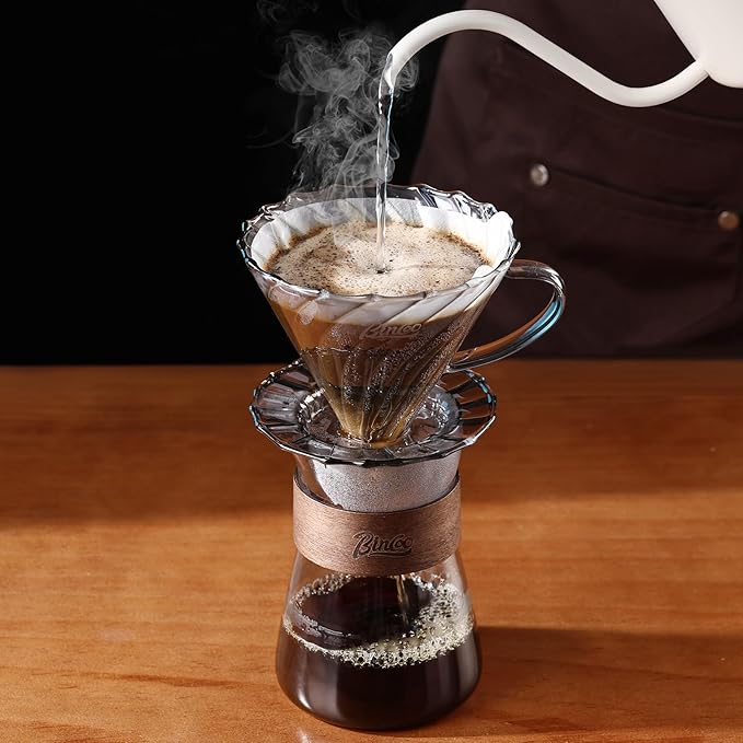 Bincoo Pour Over Coffee Dripper Set, Drip Coffee Maker, Included Borosilicate Glass Carafer and Coffee Dripper & 50 Pcs Size 02 Paper Filter, 16oz(500ml) (Smoky Gray Set)