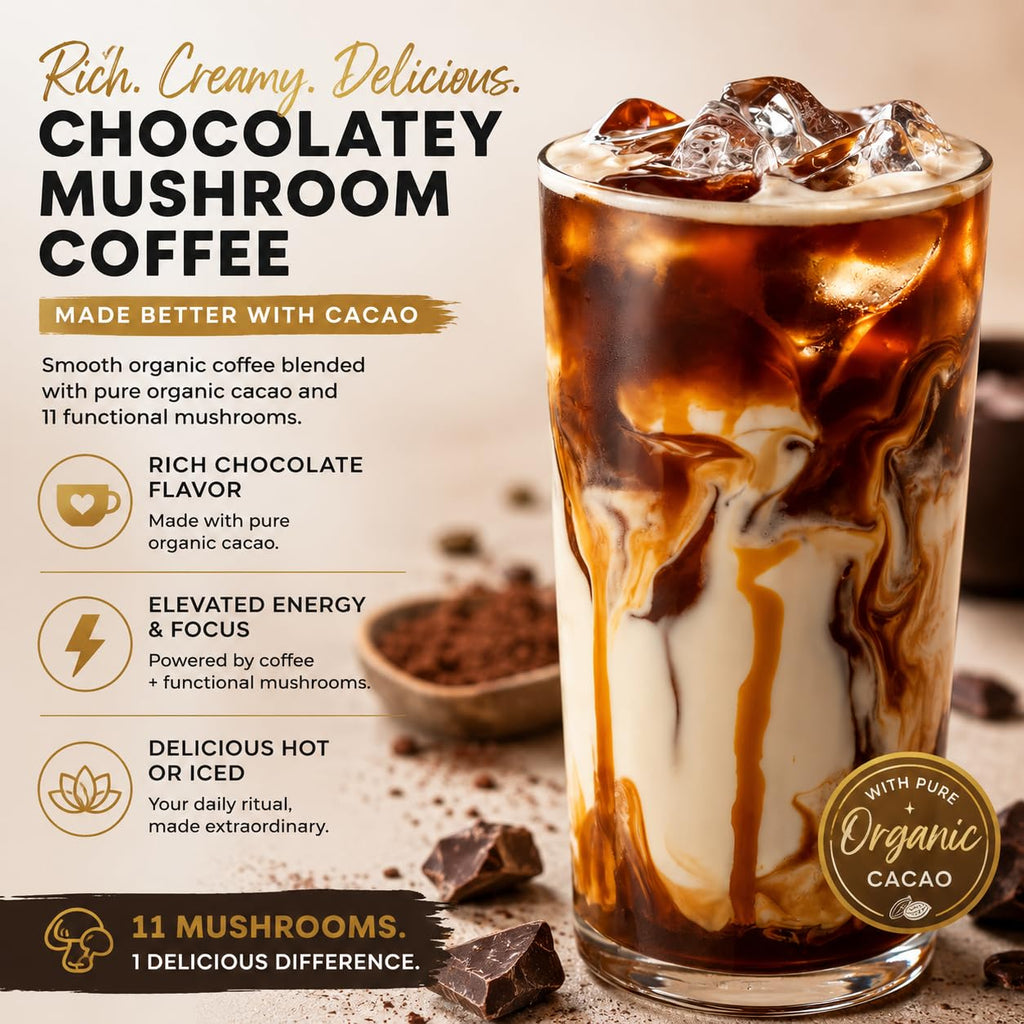OhmYes Mocha Mushroom Coffee with Pure Cacao | Organic Mushroom Coffee, 11-Mushroom Blend (Lion’s Mane, Reishi, Chaga, Cordyceps) | Organic Instant Coffee, Cocoa Flavanols | Unsweetened | 7oz