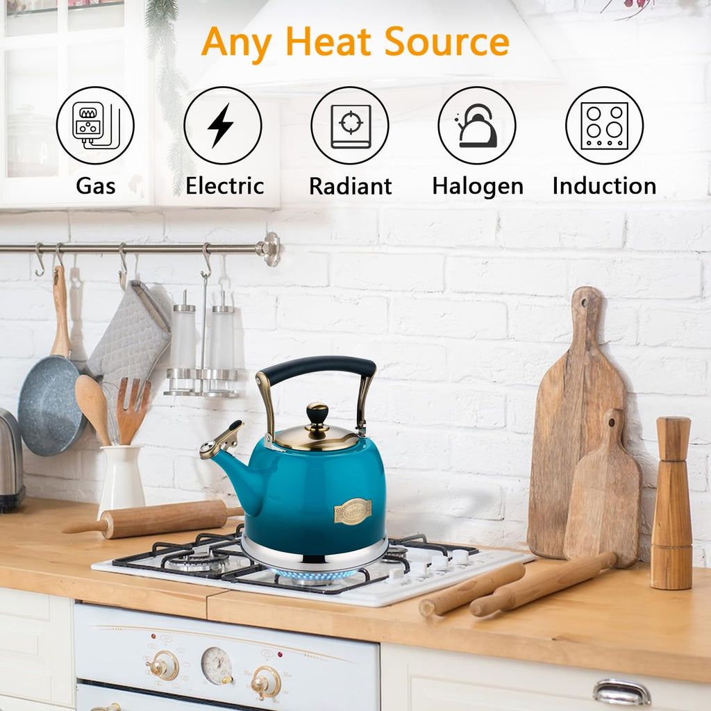 Tea Kettle Stainless Steel Teapot, Stainless Steel Teakettle for Stove Top with Heat Proof Ergonomic Handle 3.0 Quart