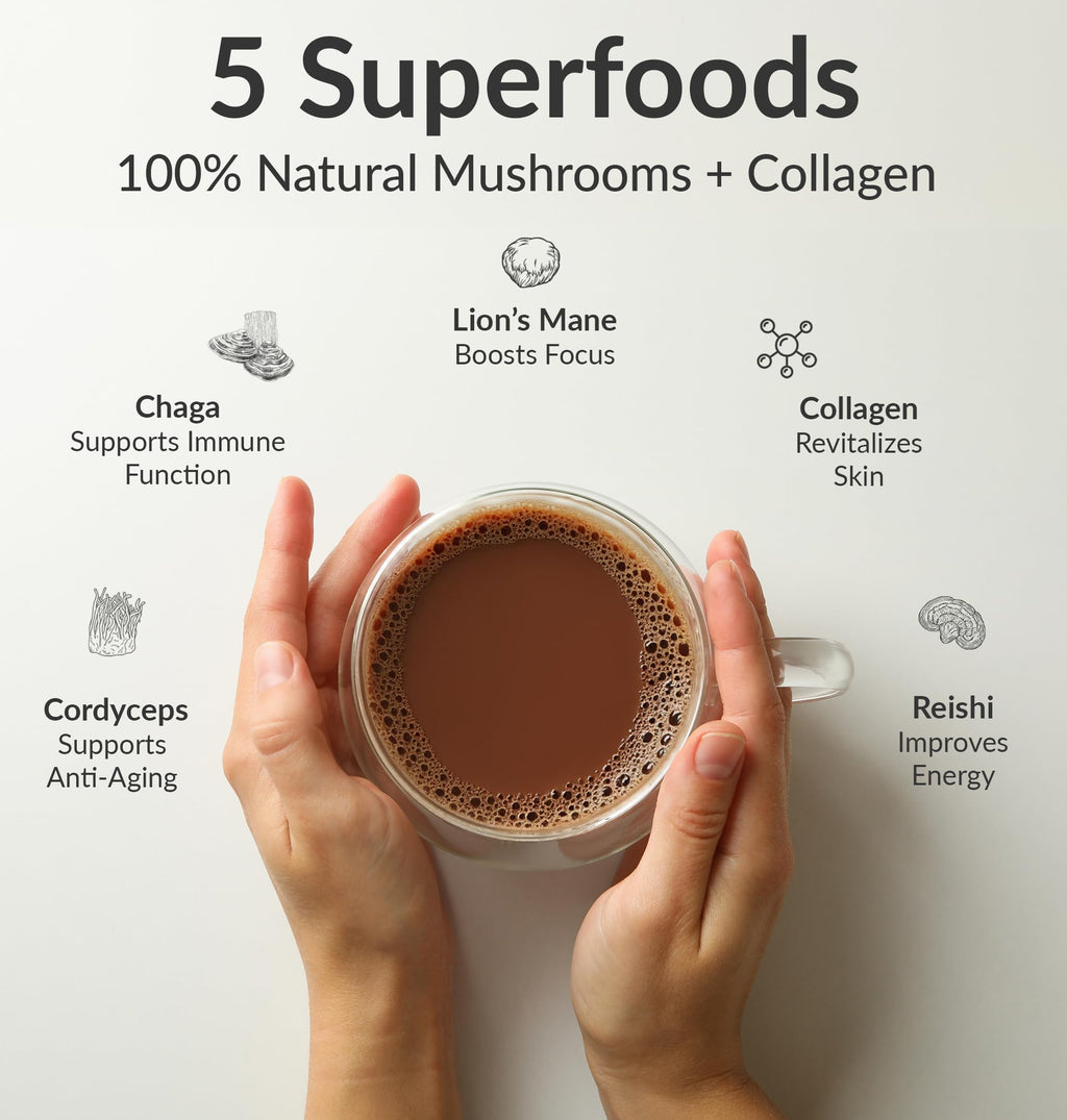 BIOptimizers Mushroom Coffee Alternative – Chocolate Drink – Lion’s Mane, Chaga, Reishi + Collagen Peptides for Focus, Energy & Gut Health – Adaptogenic Mushrooms & MCT Powder – 15 Servings