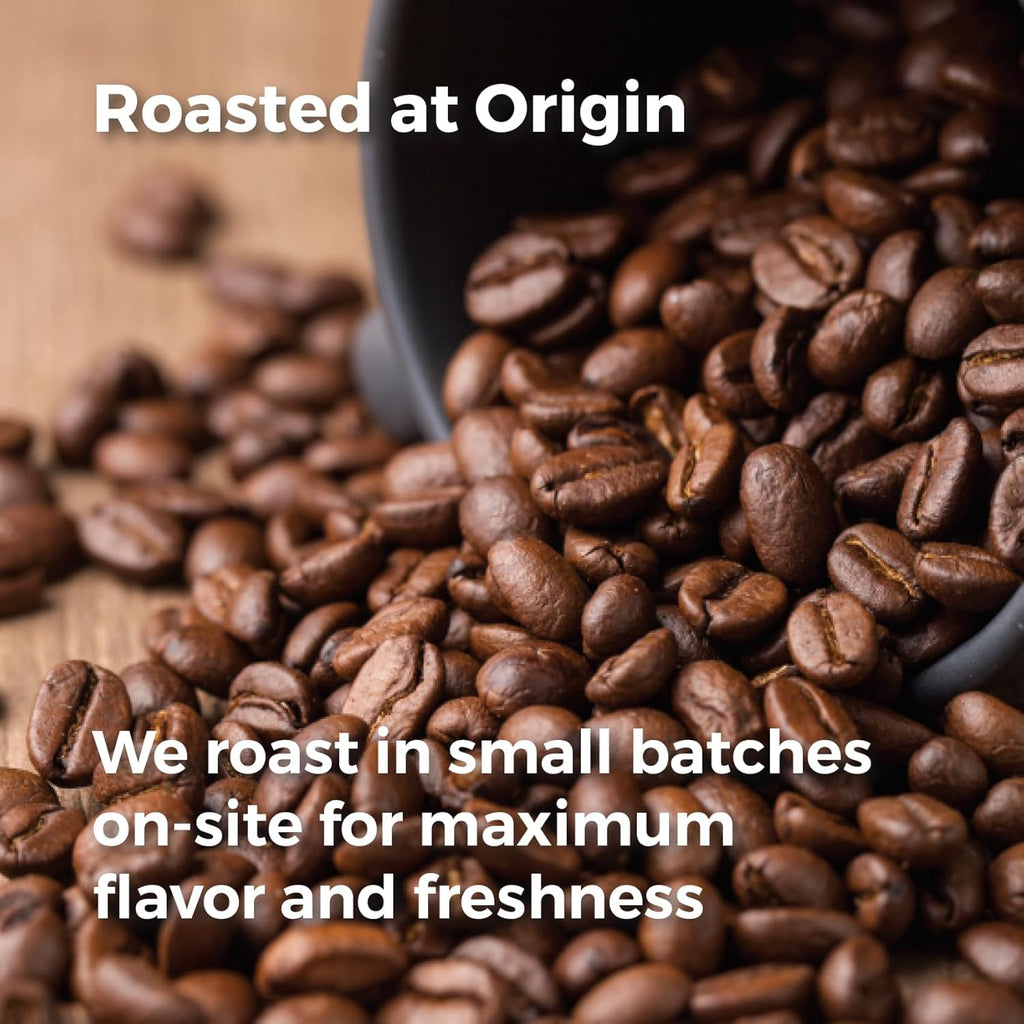 Don Memo Honduras Single-Origin Dark Roast Coffee Beans – Low Acid, Shade-Grown Arabica (Whole Bean, 12 oz) – Sustainably Farmed