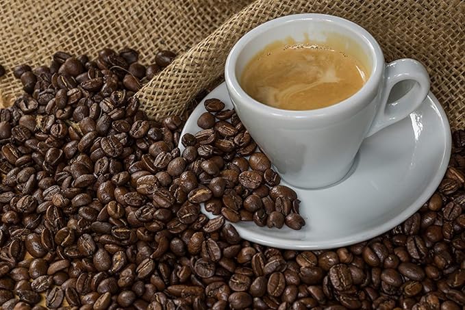 CUISINOX Italian Classic White Porcelain Espresso Cups and Saucers – Set of 6, 2 oz – Coffee Cups for Espresso Shots, Cappuccino, Latte – Perfect for Home and Coffee Bar Accessories