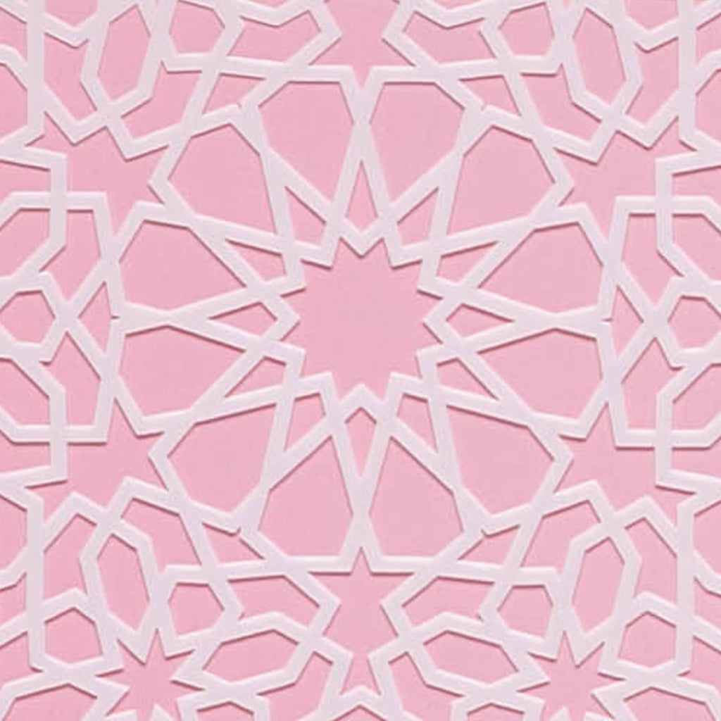 Lacupella Cake Stencil for Buttercream Cake, Royal Icing, Ganache, Painting, Art and Crafts (IMANE)