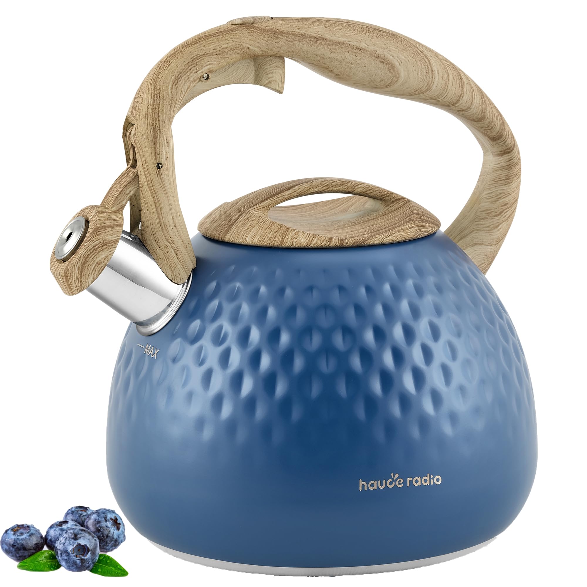 Tea Kettle,2.5 Quart Stovetop Tea Kettles Loud Whistle,Food Grade Stainless Steel Water kettles for Stove Top with Anti-hot Ergonomic Handle,Suitable for All Heat Sources