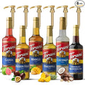 Summer Variety Syrup 6 Pack - Chocolate Macadamia Nut, Pineapple, Coconut, Mango, Guava & Passion Fruit Syrups For Coffee,Italian Soda, Lattes, Frappes With 6 Jimoco Pump Dispensers