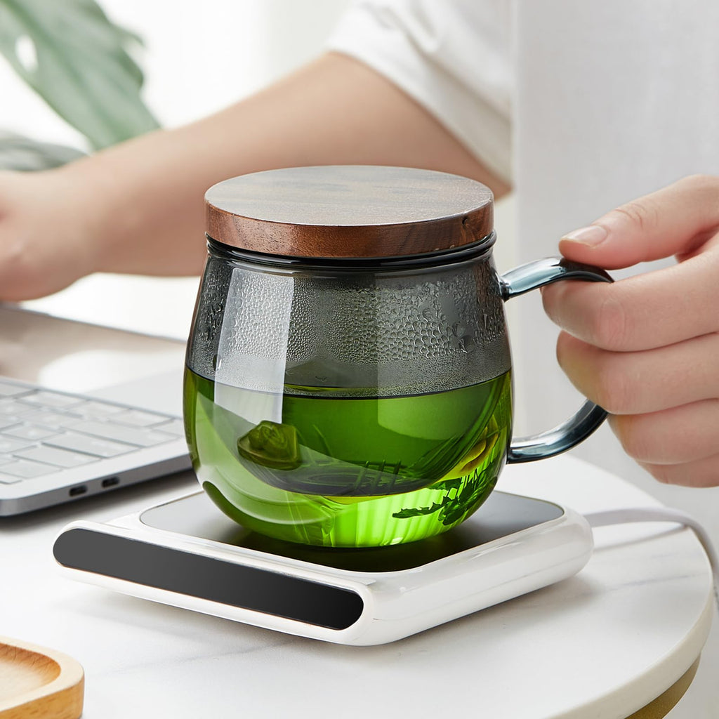 17 OZ Glass Tea Cup with Infuser and Lid, 500 ML Large Borosilicate Teacup, Clear Mug for Loose Leaf Tea, Blooming Tea, Tea Bags - Perfect Christmas or Birthday Gift for Women