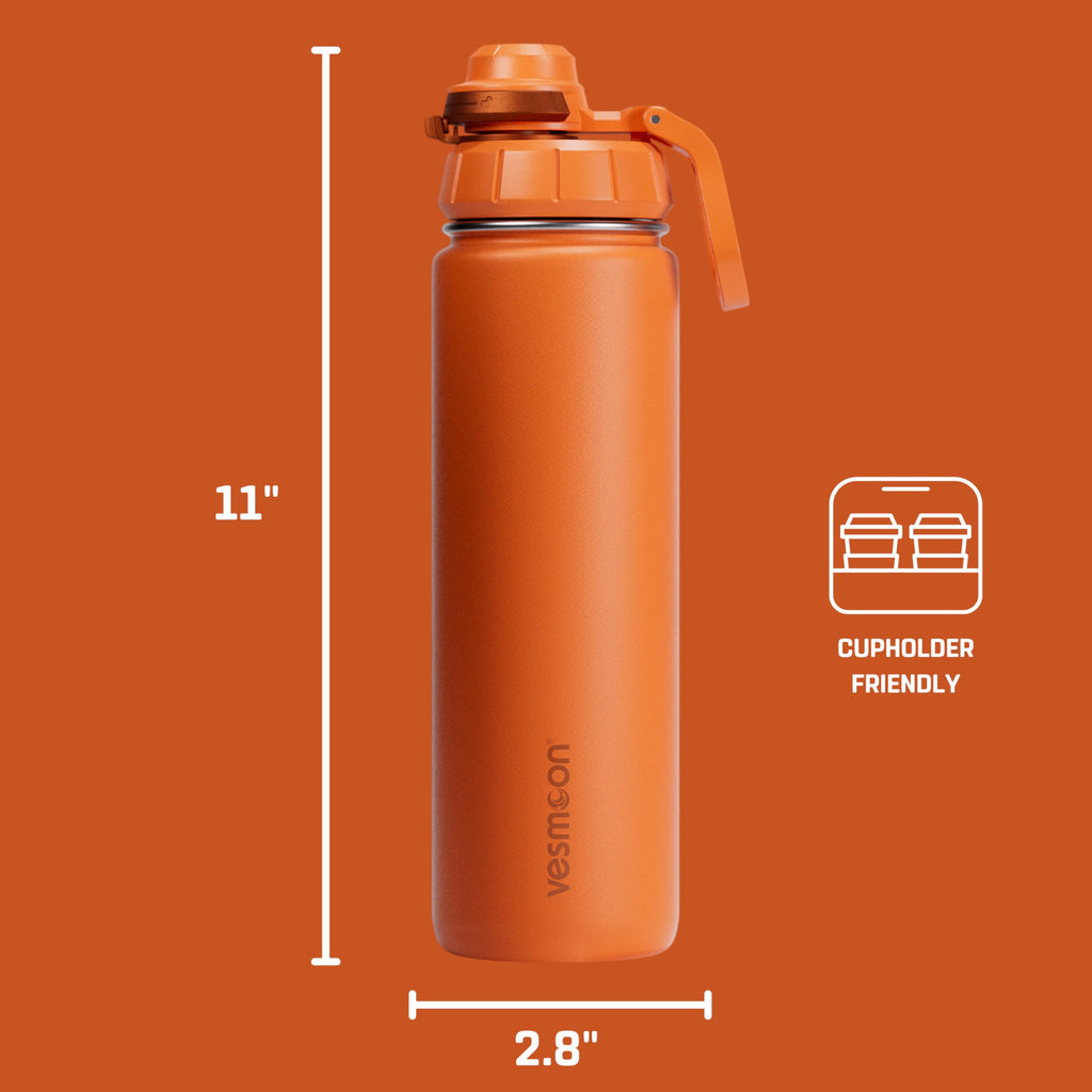 Vesmoon Vessence 24 Oz Stainless Steel Tea Infuser Bottle for Loose Leaf Tea, Water, Herbs, Fruits - Triple Layered Insulated, Leak Proof Bottle with Lid and Clip Handle - 24 Hours Hot/Cold