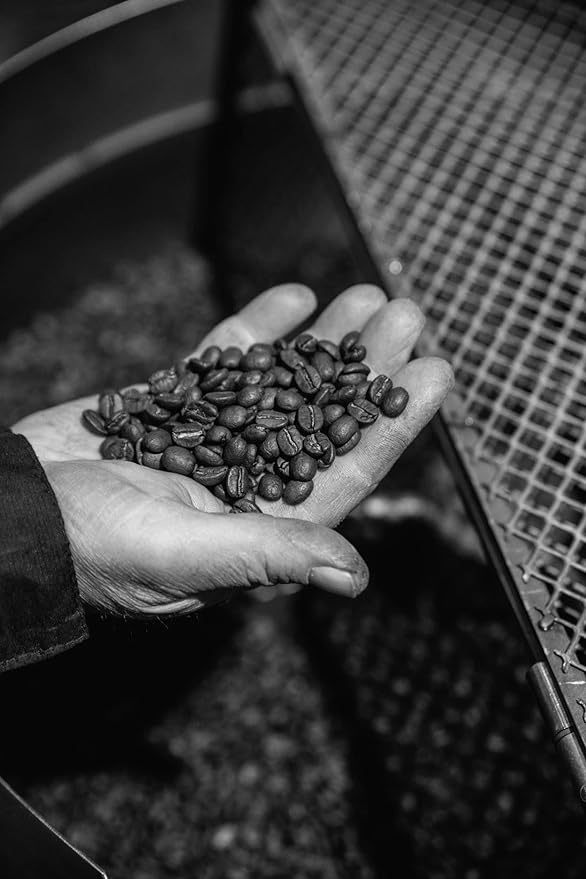 Bristot Moka Oro Ground Coffee | Italian Ground Espresso | Medium Roast | For Moka, French Press, Pour Over | 8.8oz/250g (Pack of 2)