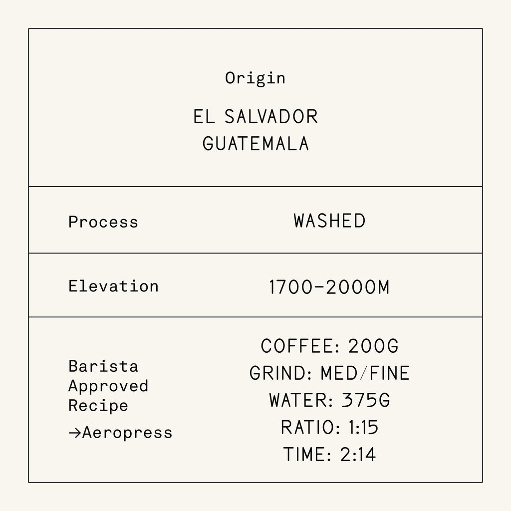 Verve Coffee Roasters | Seabright House Blend Whole Bean Coffee | Honeydew, Apricot & Hazelnut | El Salvador & Guatemala Blend | Washed Process Specialty Medium Roast | 12 Ounces