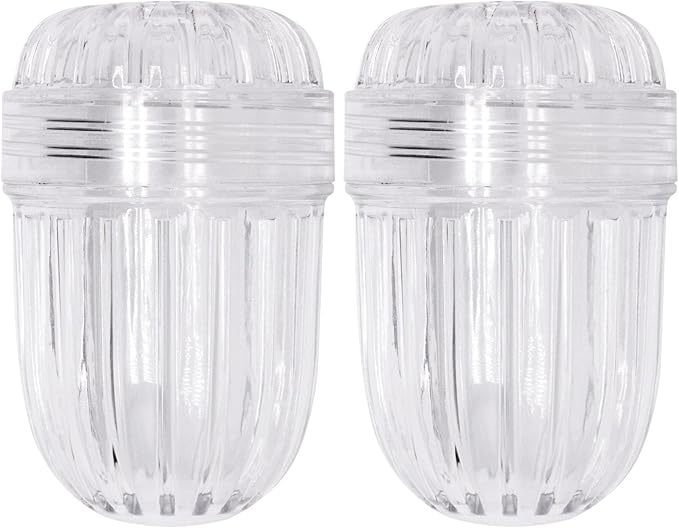 2pcs Upgraded Fruit Infuser Insert, Tea Infuser Bottle Ball for Wide Mouth Bottles