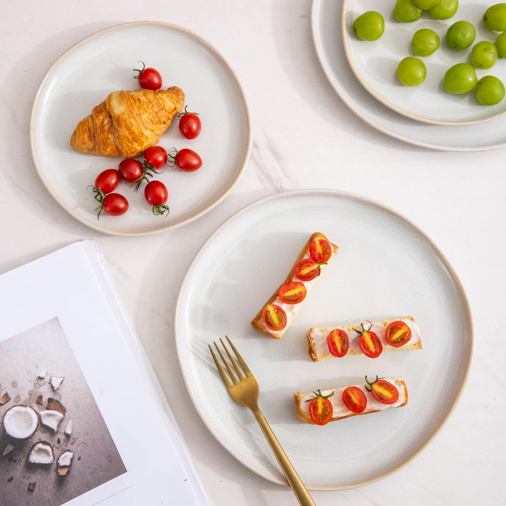 AmorArc Ceramic Dinner Plates Set of 6, 10.5 Inch Stoneware Plates Set
