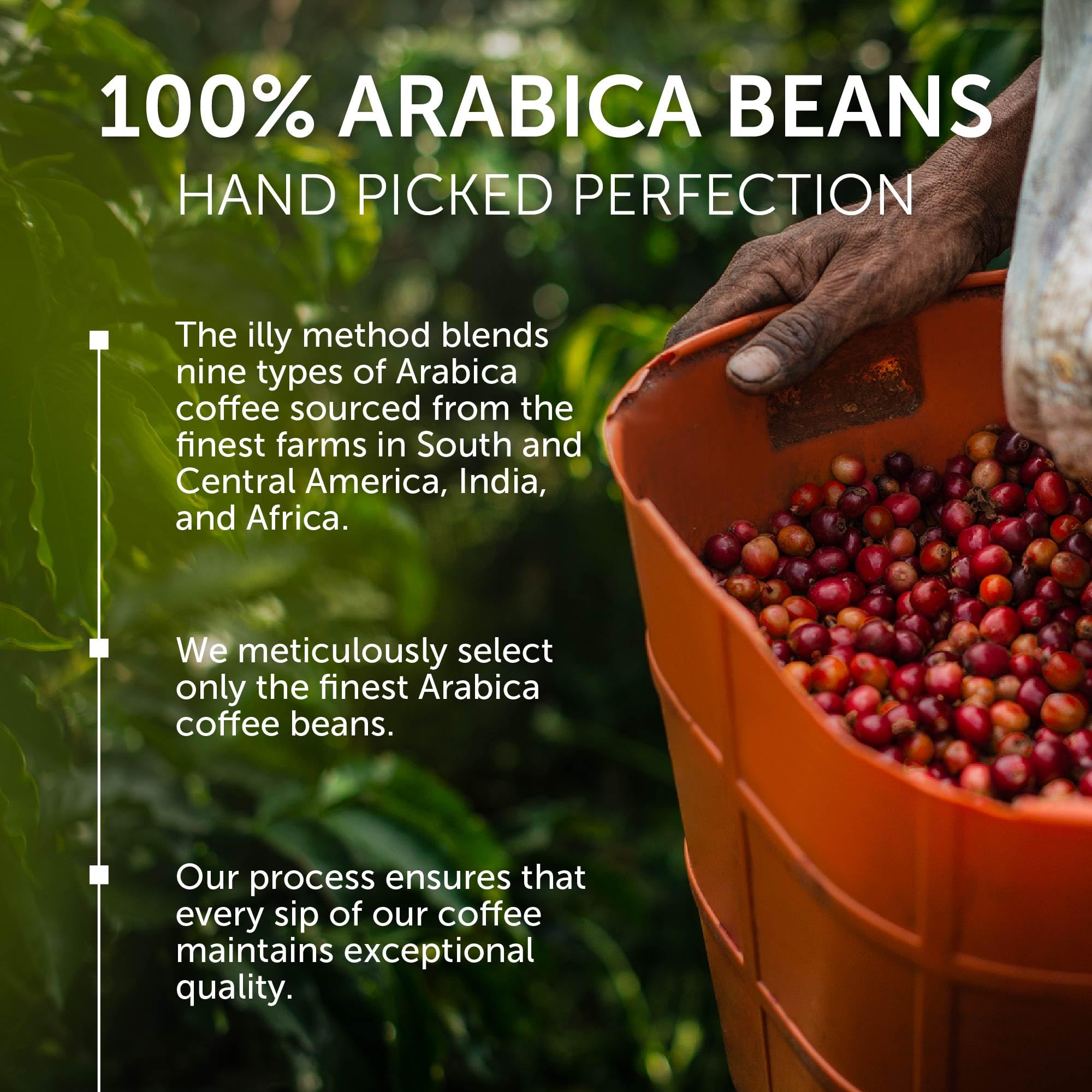 illy Whole Bean Coffee, Costa Rica Single Origin Medium Roast, 8.8oz 6 Pack