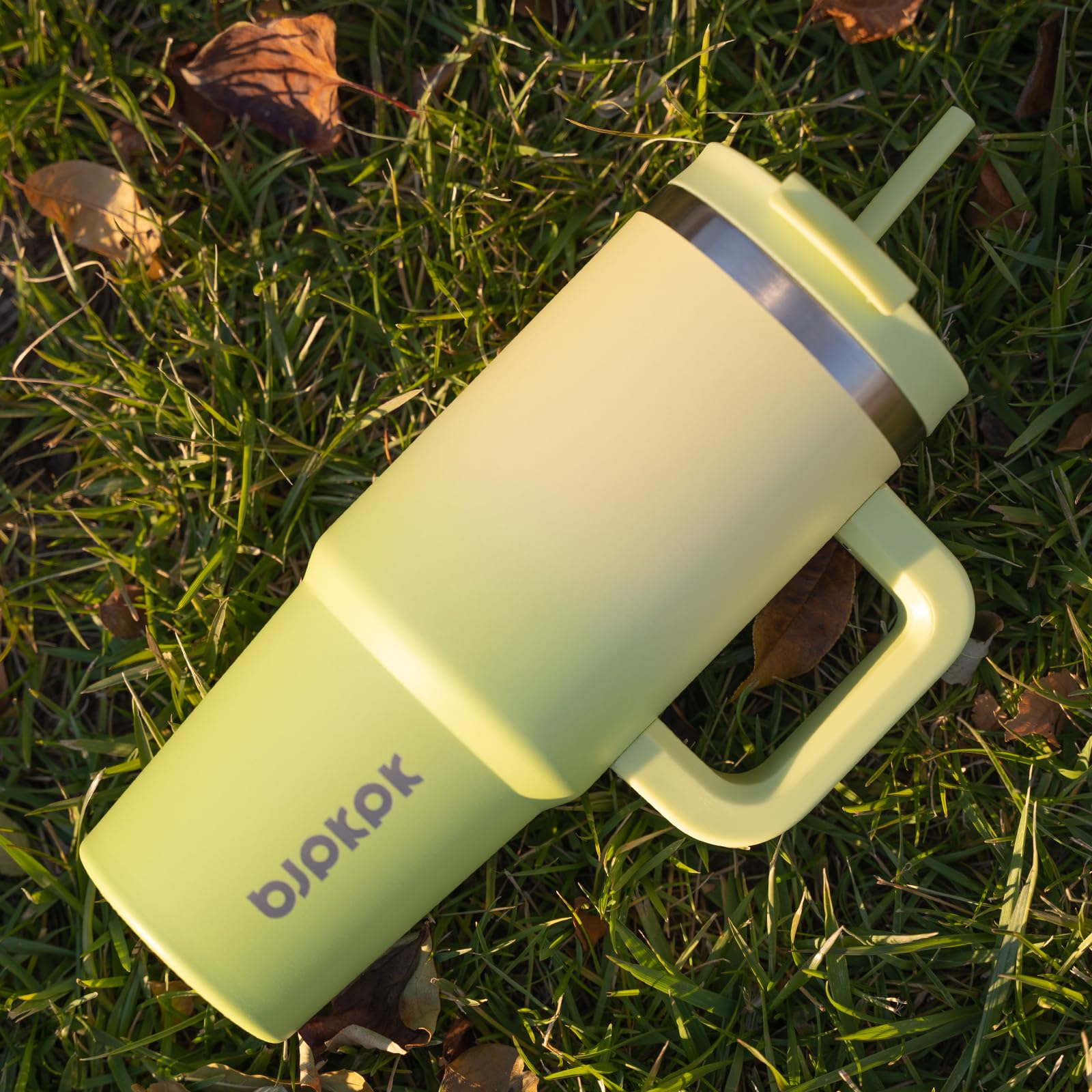 BJPKPK 40 oz Insulated Tumbler with Handle & Straw, Stainless Steel