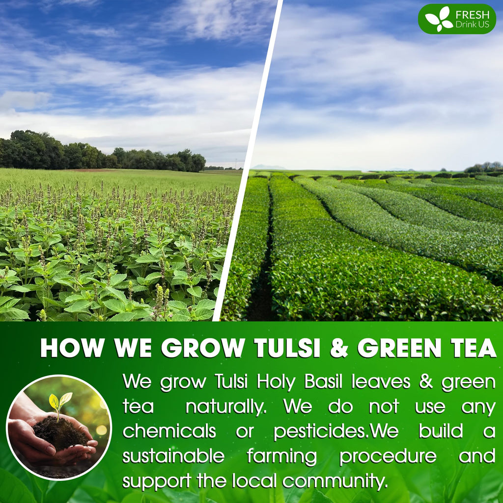 FreshDrinkUS, Premium 75 Tulsi Green Tea Bags, 100% Natural & Pure, Herbal Tea, No Sugar, No Caffeine, No Gluten, Vegan.