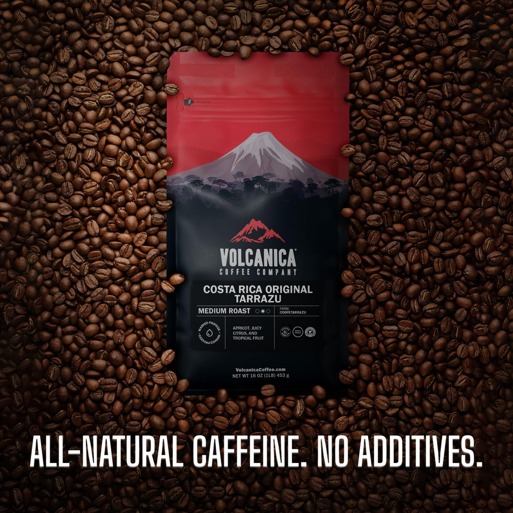 Sumatran Coffee, Mandheling, Ground, USDA Organic, Fair Trade, Fresh Roasted, 16-ounce