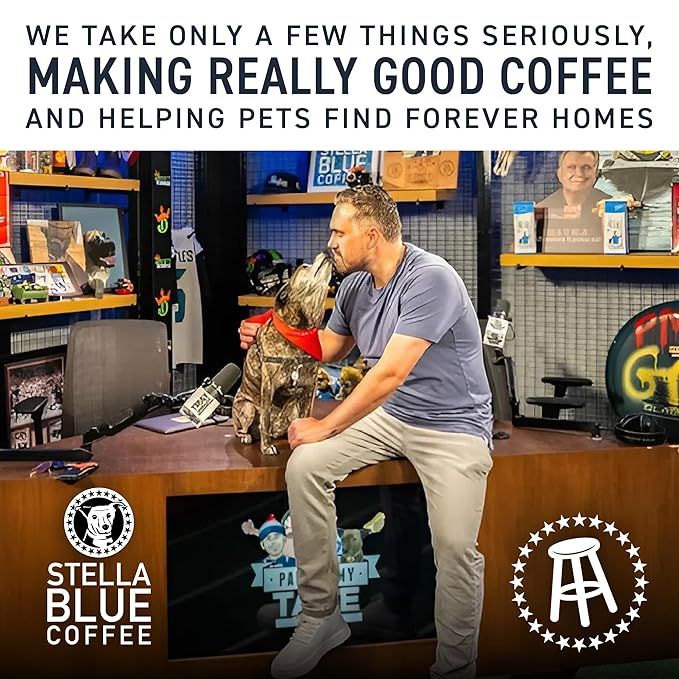 Stella Blue Espresso Caffe Mocha, 100% Colombian Coffee, 190mg Natural Caffeine, Good Source of Protein, Ready-to-Drink Coffee Energy Beverage, 11oz Can, 12 Pack