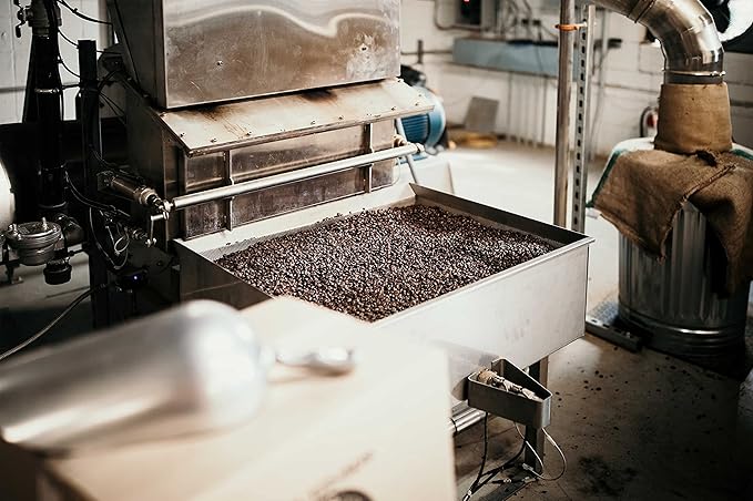 Mexican Chiapas Coffee Beans (12oz), Fair Trade, Medium Roast, Good As Gold Coffee Roasters