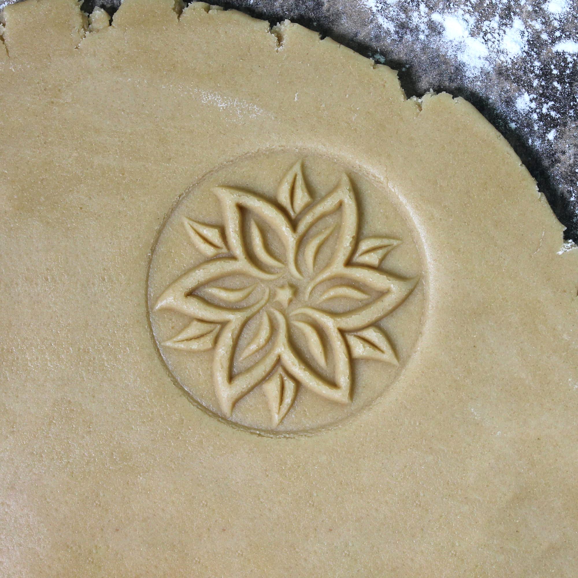 Fun Food Tools, Wood Cookie Stamp, 2.5 Inch (Poinsettia CS-014)