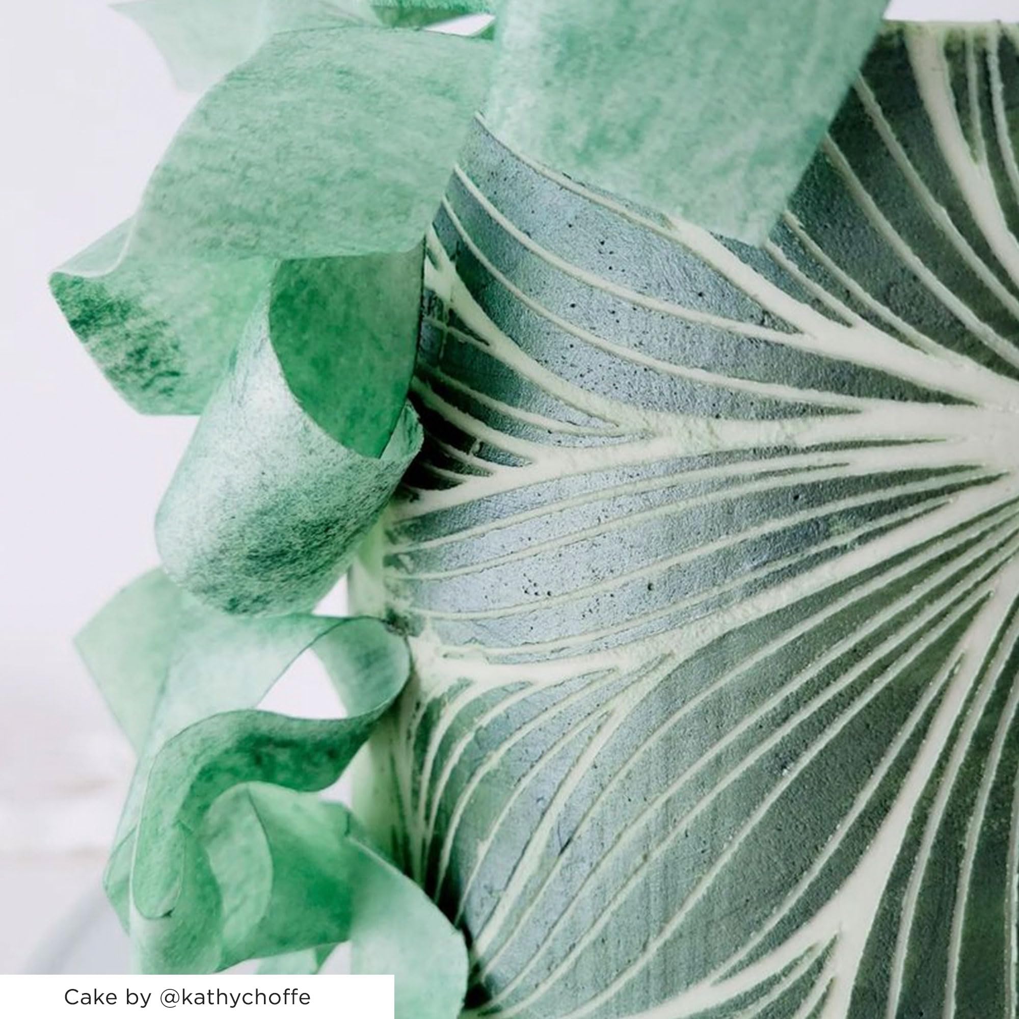 Lacupella Large Cake Decorating Stencil (Amara) Leaf Veins Pattern