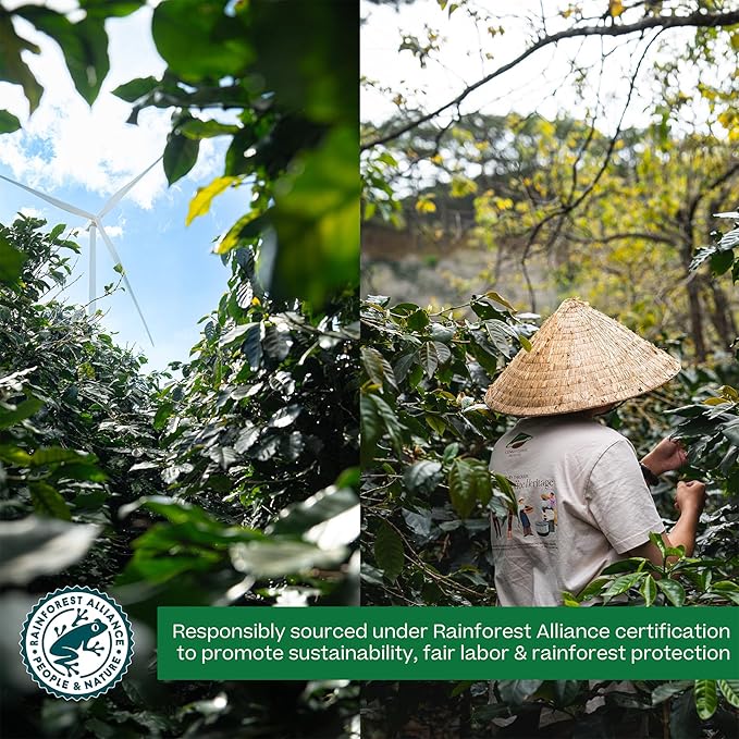 Conihat Whole Bean Coffee - 100% Vietnamese Premium Arabica, Dark Roast, Chocolate & Fruity Notes, Sweet Finish, Low Acid, Single Origin, Hand-Picked, 16 Oz Bag