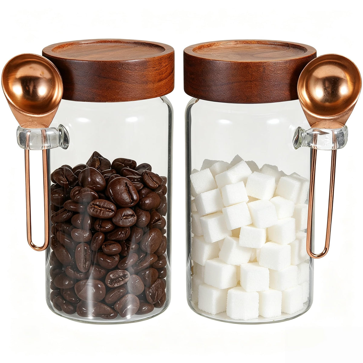 Patoper 18 oz Glass Spice Jars with Spoons Wooden Airtight Lid Sugar Coffee Ground Canister Round Glass Food Storage Container for Herb Seasoning Cookies Tea Condiment Salt (2×550ml(18oz))