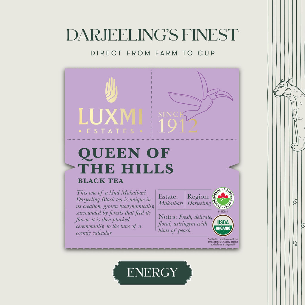 Luxmi Estates Queen of the Hills Organic Darjeeling Black Tea Loose Leaf 50 Cups (100g/3.5oz) | Direct from Garden