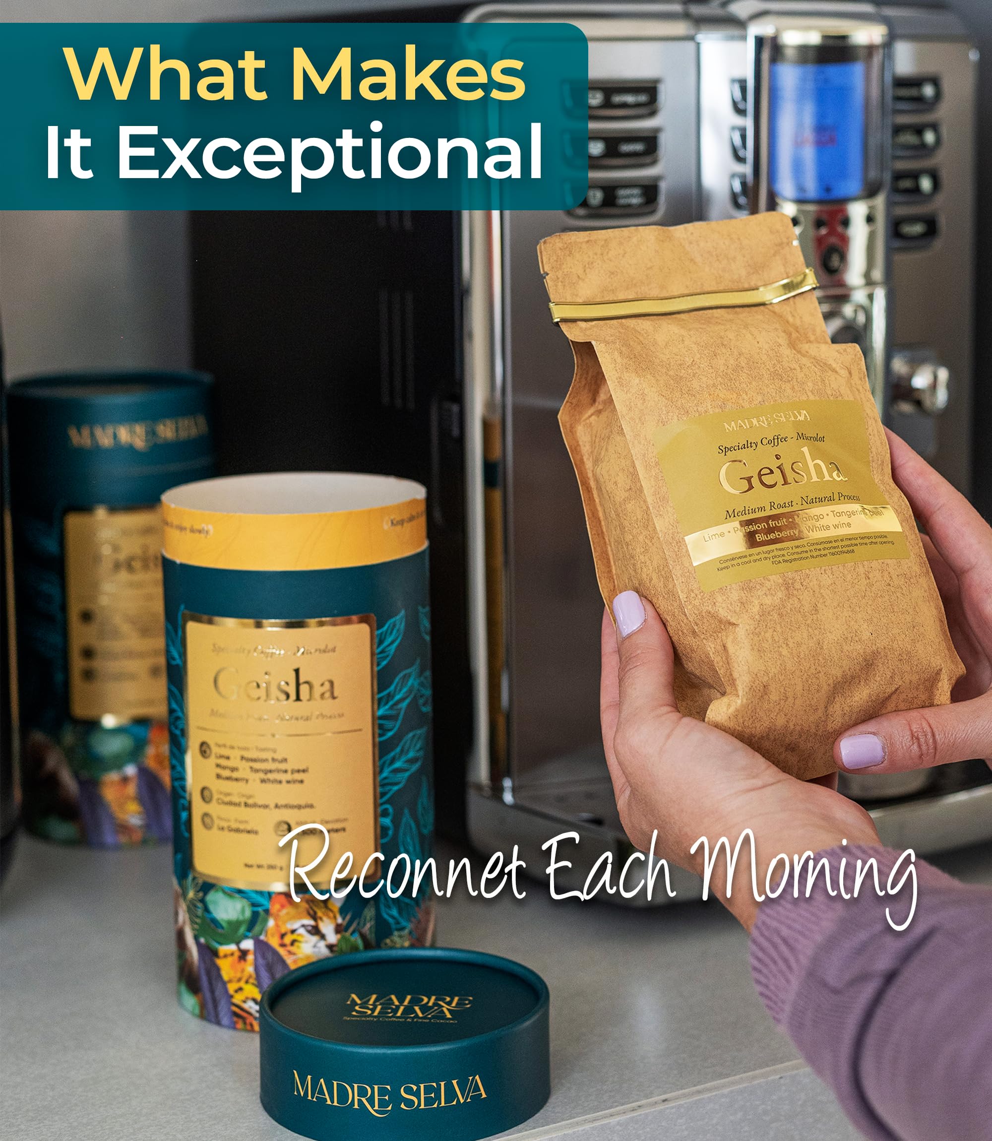 Colombian Geisha Coffee Whole Bean Medium Roast Arabica Gourmet Fresh Single Origin Premium Low Acid Exotic Notes Rich Aroma Smooth Flavor Quality High Altitude Giftable Pack Freshness Lock 8.8oz 250g