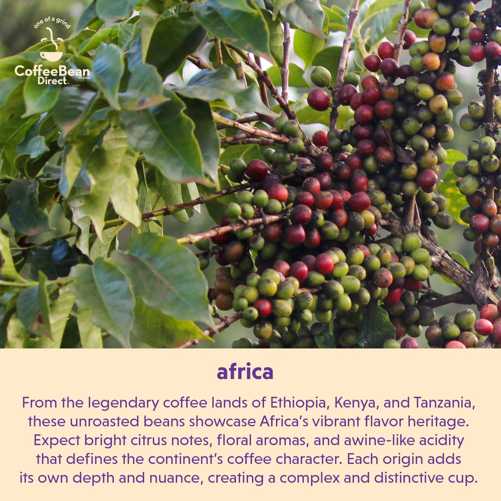 Coffee Bean Direct Unroasted Tanzanian Peaberry, 5lb Bag