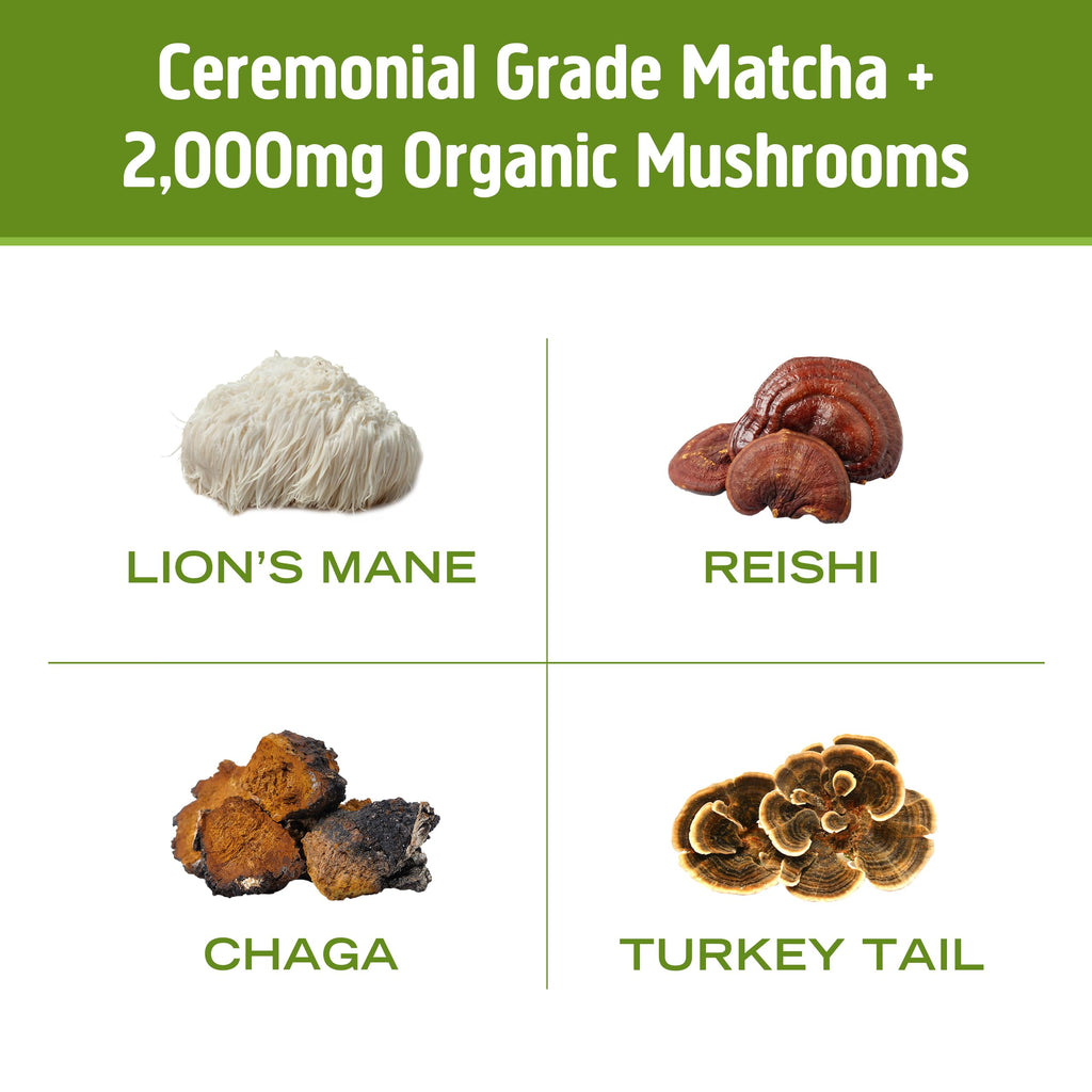 OM MUSHROOM SUPERFOOD Matcha Latte Blend – Green Tea Mushroom Powder with Lion’s Mane, Reishi, Chaga & Turkey Tail – Focus, Calm & Stress Support – 8.47 oz Canister (30 Servings)