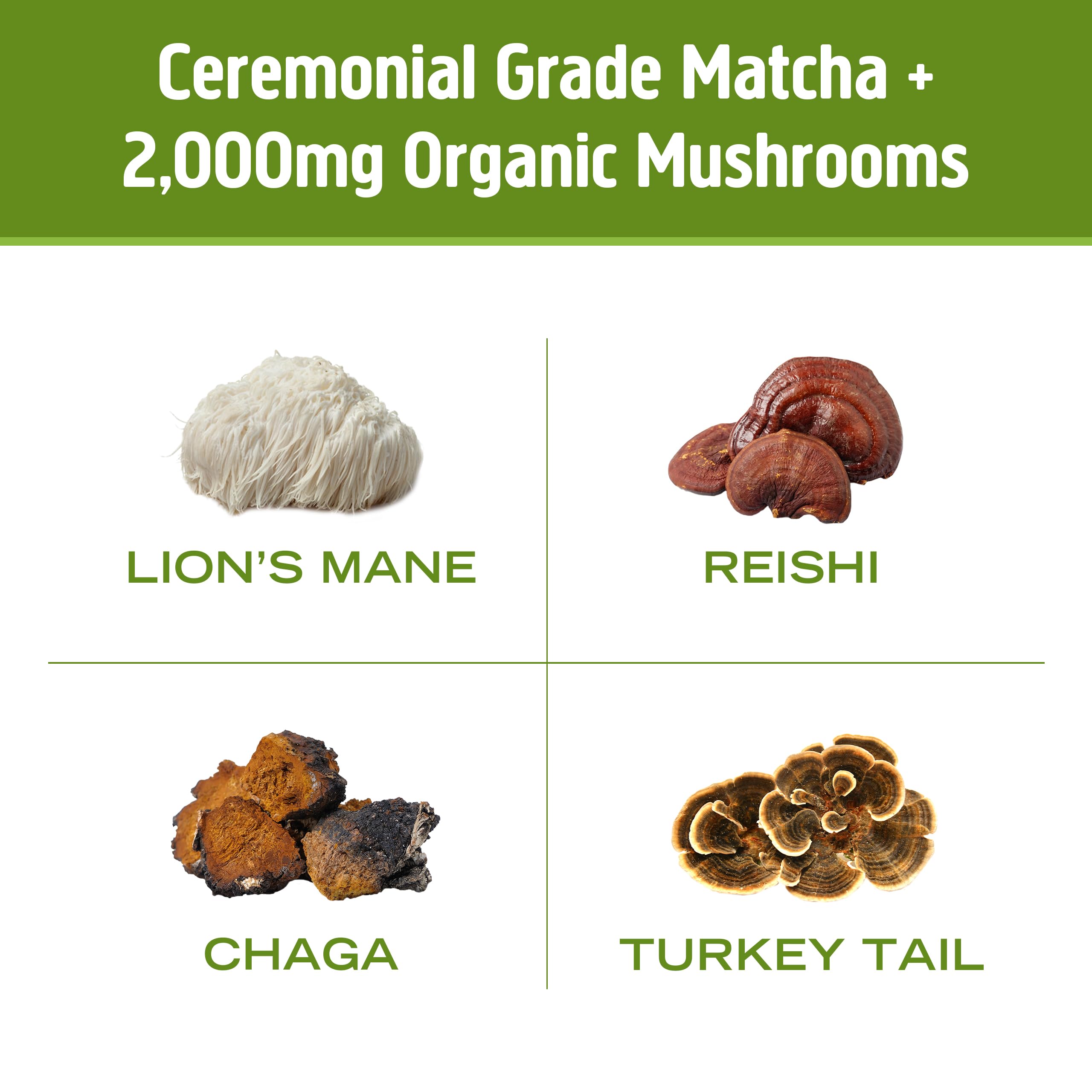 OM MUSHROOM SUPERFOOD Matcha Latte Blend – Green Tea Mushroom Powder with Lion’s Mane, Reishi, Chaga & Turkey Tail – Focus, Calm & Stress Support – 8.47 oz Canister (30 Servings)