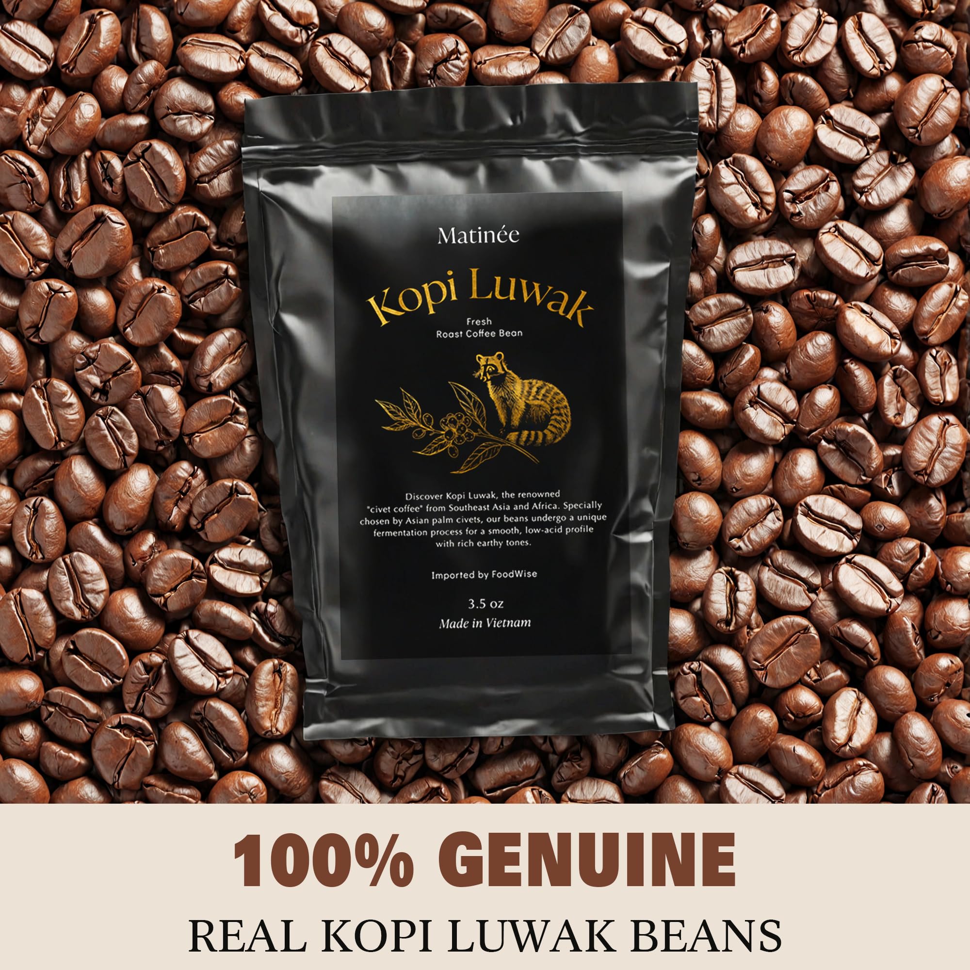 MATINÉE Wild Kopi Luwak Coffee Whole Beans, Medium Roast Luwak Coffee Gifts, Produce of Vietnam, 3.5oz / 100 Grams
