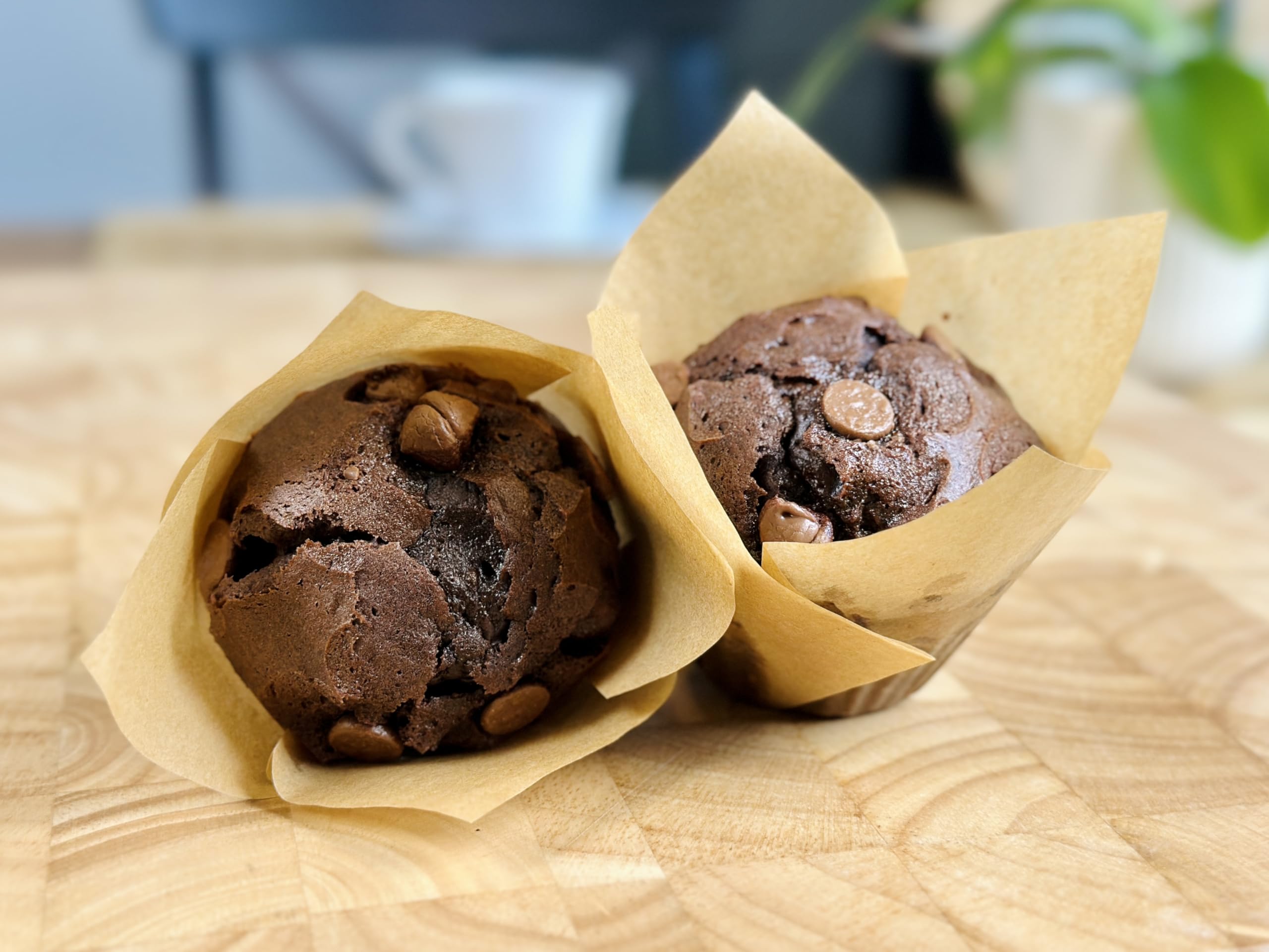 Molibake Chocolate Muffin Mix - Pack of 1 – Premium Chocolate Muffins Baking Mix with Cocoa Powder and Real Chips for Home Oven and Maker – 14 oz – Easy-to-Use Mix for Fluffy, Bakery-Style Homemade