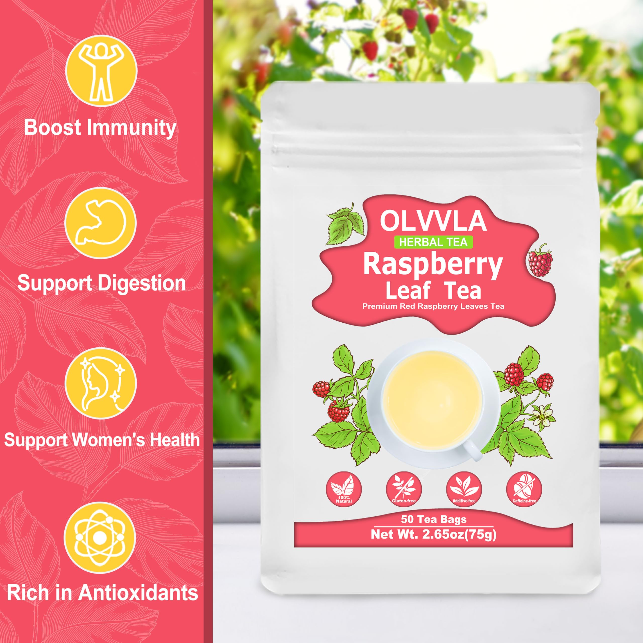 Olvvla - Raspberry Leaf Tea Bags - 1.5g X 50 Count - Red Raspberry Leaves
