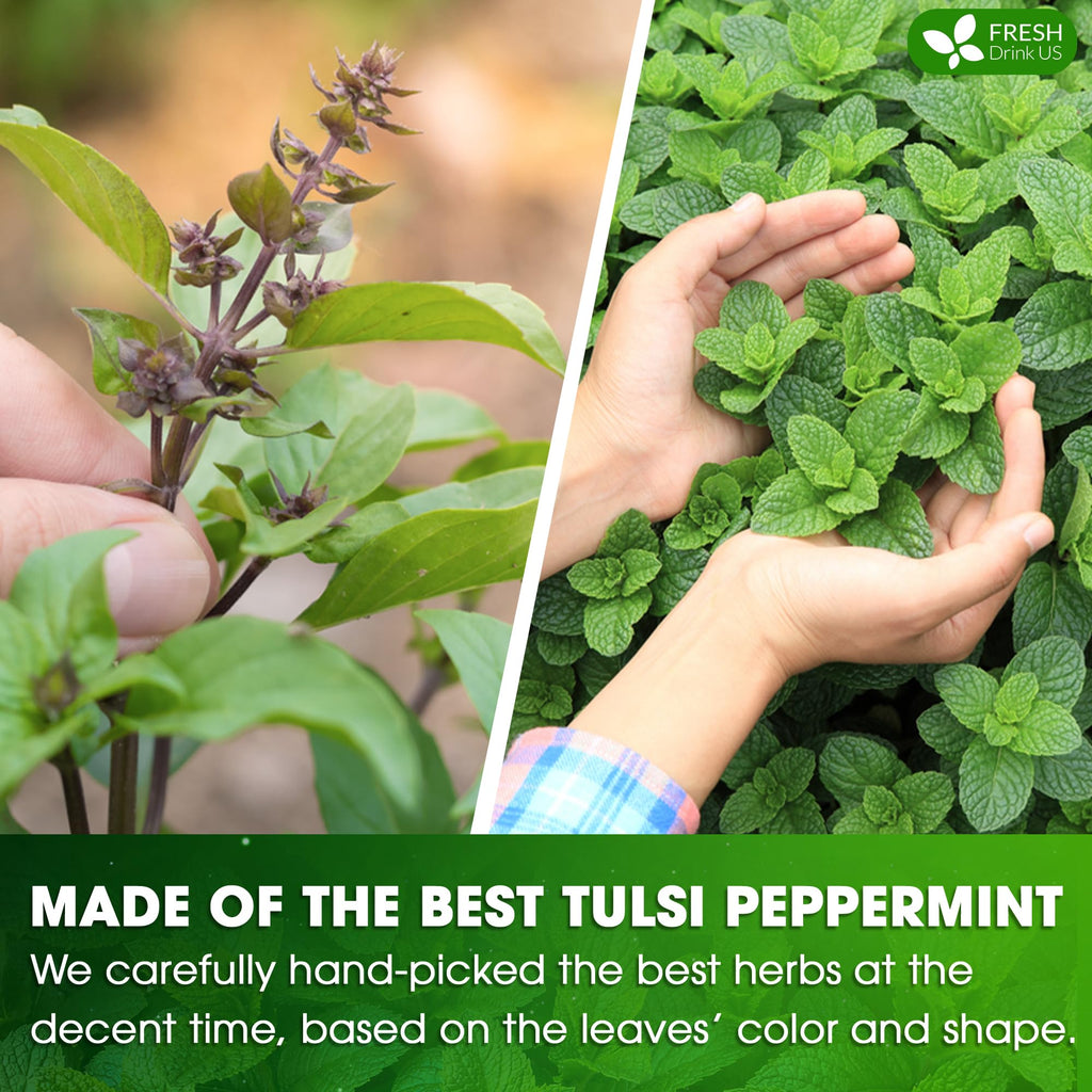 FreshDrinkUS, Premium Tulsi Peppermint Herbal Tea – 75 Bags, 100% Nature. Made with Natural Material. No Sugar, Vegan.